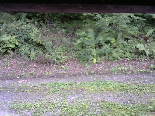 長野県菅平高原 ゆたか山荘 南側 2025/08/29 15:45