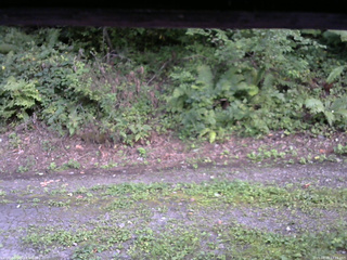 長野県菅平高原 ゆたか山荘 南側 2025/08/29 17:15