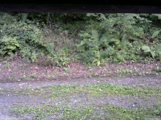 長野県菅平高原 ゆたか山荘 南側 2025/08/29 17:30