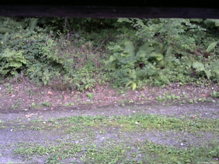 長野県菅平高原 ゆたか山荘 南側 2025/08/29 17:45