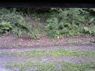 長野県菅平高原 ゆたか山荘 南側 2025/08/29 18:00