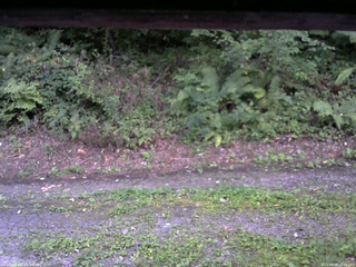 長野県菅平高原 ゆたか山荘 南側 2025/08/29 18:15