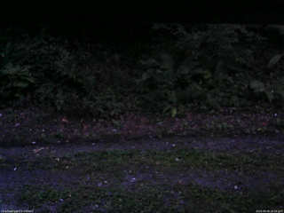 長野県菅平高原 ゆたか山荘 南側 2025/08/29 18:30