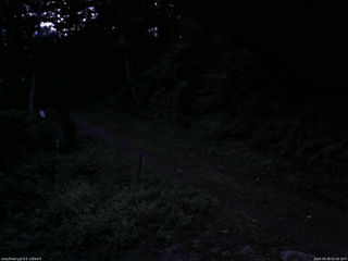 長野県菅平高原 ゆたか山荘 東側(坂下) 2025/08/29 05:00