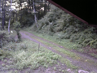 長野県菅平高原 ゆたか山荘 東側(坂下) 2025/08/29 05:30