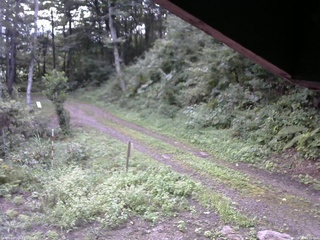 長野県菅平高原 ゆたか山荘 東側(坂下) 2025/08/29 06:45