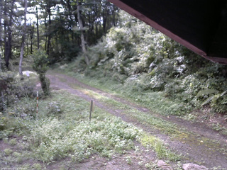 長野県菅平高原 ゆたか山荘 東側(坂下) 2025/08/29 07:45