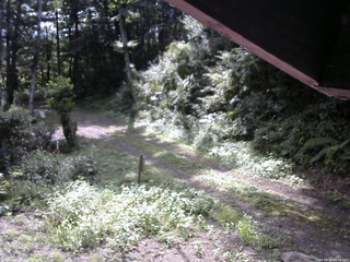 長野県菅平高原 ゆたか山荘 東側(坂下) 2025/08/29 08:30