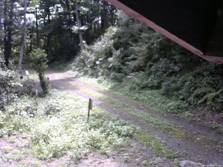長野県菅平高原 ゆたか山荘 東側(坂下) 2025/08/29 09:30