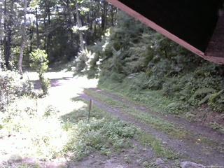 長野県菅平高原 ゆたか山荘 東側(坂下) 2025/08/29 10:00
