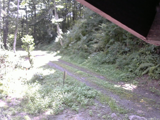 長野県菅平高原 ゆたか山荘 東側(坂下) 2025/08/29 10:30