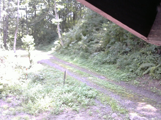 長野県菅平高原 ゆたか山荘 東側(坂下) 2025/08/29 11:00