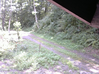 長野県菅平高原 ゆたか山荘 東側(坂下) 2025/08/29 11:15