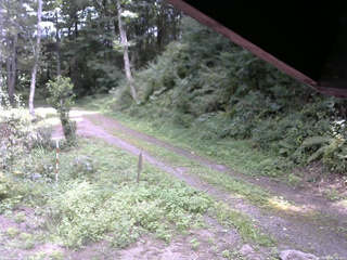 長野県菅平高原 ゆたか山荘 東側(坂下) 2025/08/29 11:45
