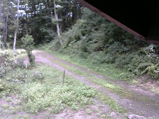 長野県菅平高原 ゆたか山荘 東側(坂下) 2025/08/29 12:00
