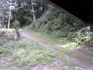 長野県菅平高原 ゆたか山荘 東側(坂下) 2025/08/29 12:30