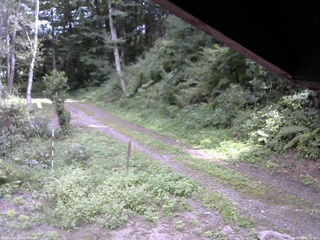 長野県菅平高原 ゆたか山荘 東側(坂下) 2025/08/29 12:45