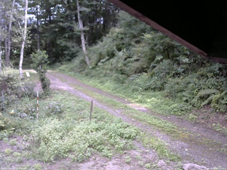 長野県菅平高原 ゆたか山荘 東側(坂下) 2025/08/29 13:00