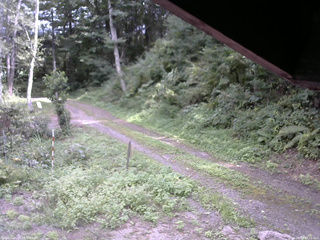 長野県菅平高原 ゆたか山荘 東側(坂下) 2025/08/29 13:15