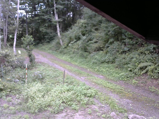 長野県菅平高原 ゆたか山荘 東側(坂下) 2025/08/29 14:00