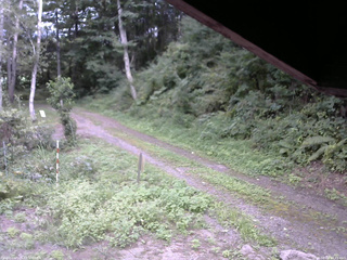 長野県菅平高原 ゆたか山荘 東側(坂下) 2025/08/29 14:45