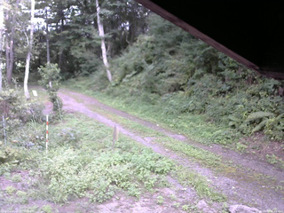 長野県菅平高原 ゆたか山荘 東側(坂下) 2025/08/29 15:45