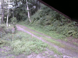 長野県菅平高原 ゆたか山荘 東側(坂下) 2025/08/29 16:00