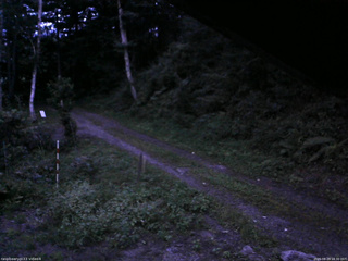 長野県菅平高原 ゆたか山荘 東側(坂下) 2025/08/29 18:30