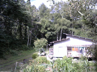 長野県菅平高原 ゆたか山荘 西側(坂上) 2025/08/29 08:30