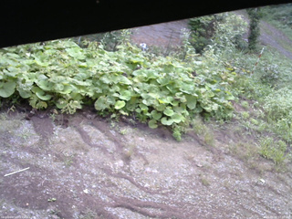 長野県菅平高原 ゆたか山荘 駐車場 2025/08/29 07:00