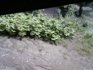 長野県菅平高原 ゆたか山荘 駐車場 2025/08/29 09:30