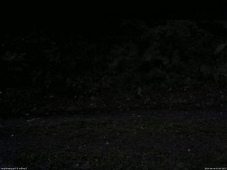 長野県菅平高原 ゆたか山荘 南側 2025/08/30 05:00