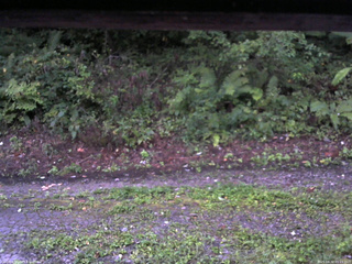 長野県菅平高原 ゆたか山荘 南側 2025/08/30 05:15