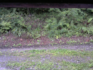 長野県菅平高原 ゆたか山荘 南側 2025/08/30 05:30