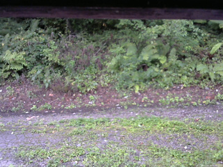 長野県菅平高原 ゆたか山荘 南側 2025/08/30 05:45