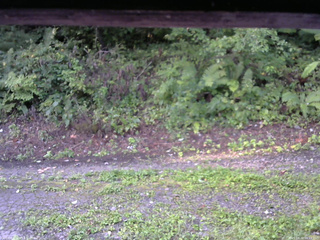 長野県菅平高原 ゆたか山荘 南側 2025/08/30 06:15