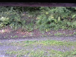 長野県菅平高原 ゆたか山荘 南側 2025/08/30 06:30