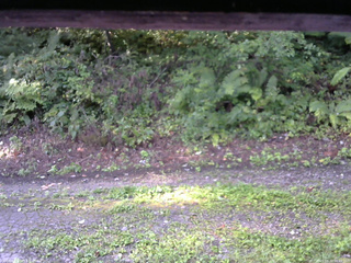 長野県菅平高原 ゆたか山荘 南側 2025/08/30 06:45