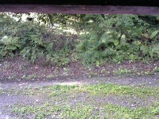 長野県菅平高原 ゆたか山荘 南側 2025/08/30 07:00