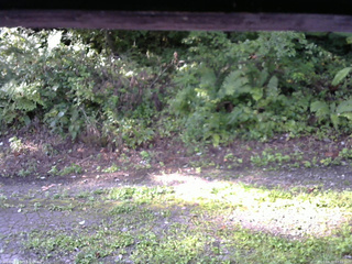 長野県菅平高原 ゆたか山荘 南側 2025/08/30 07:15