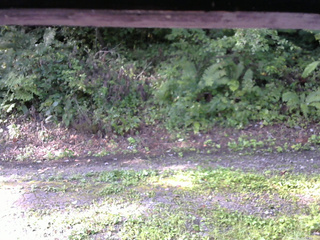 長野県菅平高原 ゆたか山荘 南側 2025/08/30 07:30