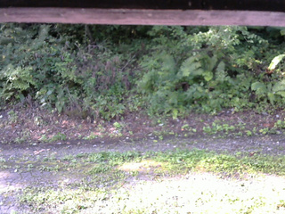 長野県菅平高原 ゆたか山荘 南側 2025/08/30 07:45