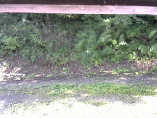 長野県菅平高原 ゆたか山荘 南側 2025/08/30 08:00