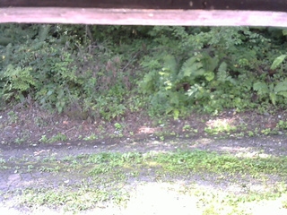 長野県菅平高原 ゆたか山荘 南側 2025/08/30 08:15