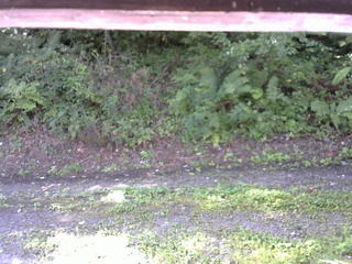 長野県菅平高原 ゆたか山荘 南側 2025/08/30 08:30