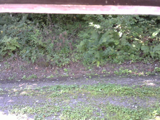 長野県菅平高原 ゆたか山荘 南側 2025/08/30 08:45