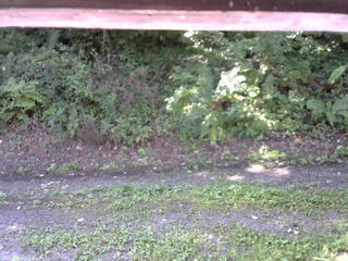 長野県菅平高原 ゆたか山荘 南側 2025/08/30 09:00