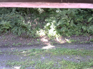 長野県菅平高原 ゆたか山荘 南側 2025/08/30 09:15