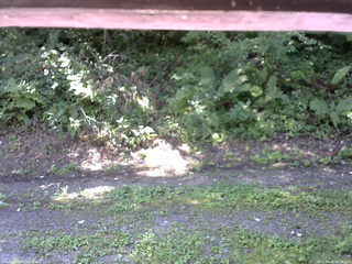 長野県菅平高原 ゆたか山荘 南側 2025/08/30 09:30