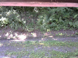 長野県菅平高原 ゆたか山荘 南側 2025/08/30 09:45